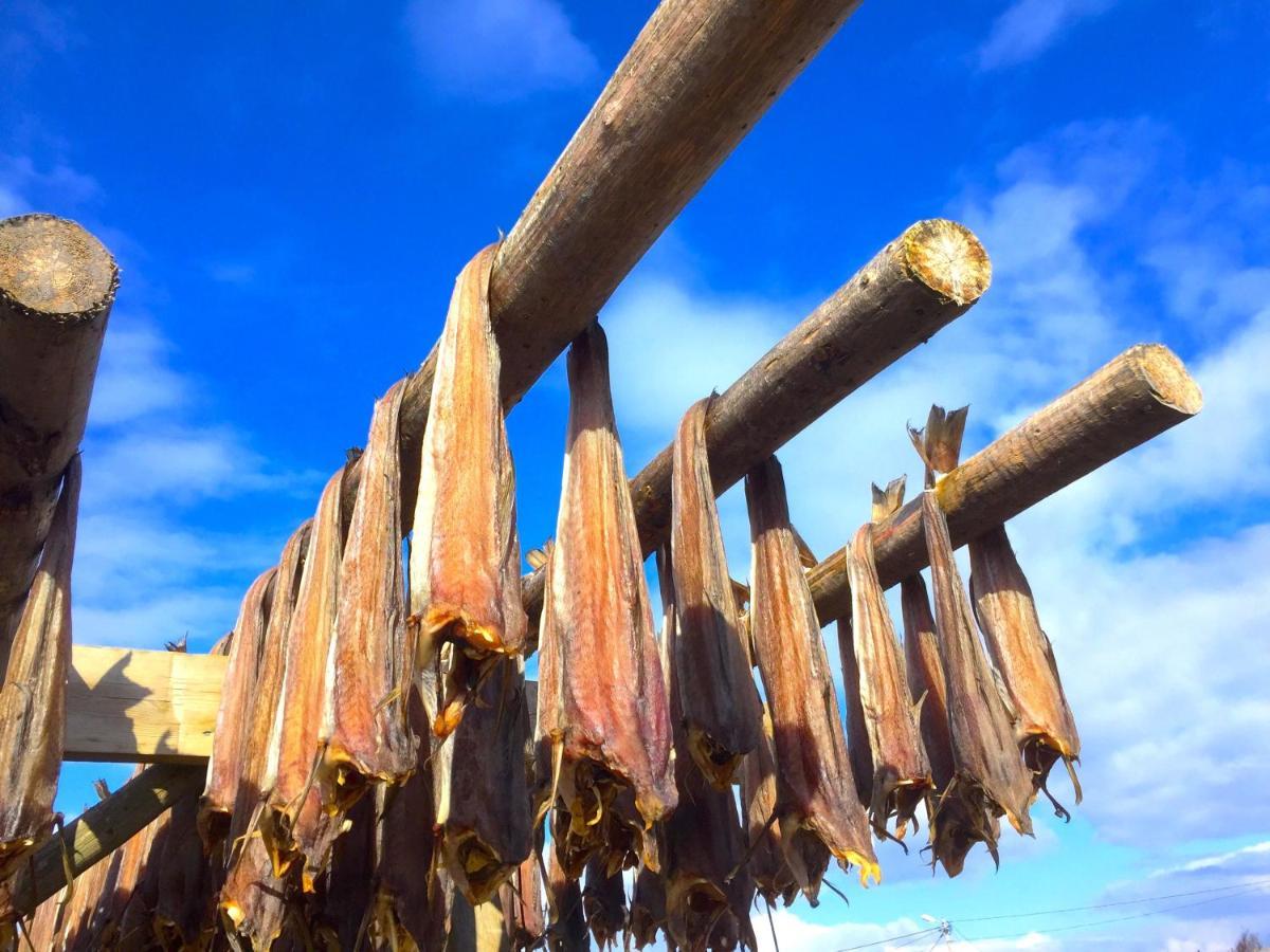 Fishermans Dock Lofoten บอลสตาด ภายนอก รูปภาพ